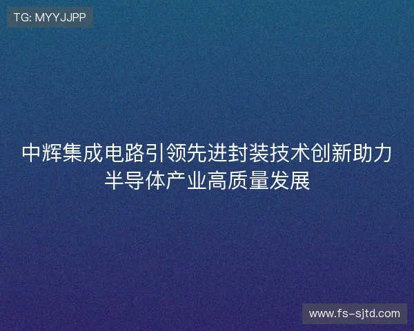 中辉集成电路引领先进封装技术创新助力半导体产业高质量发展 中辉集成电路引领先进封装技术创新助力半导体产业高质量发展